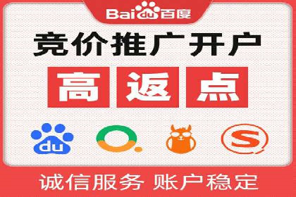 百度竞价SEM深度解析：某行业成功推广经验